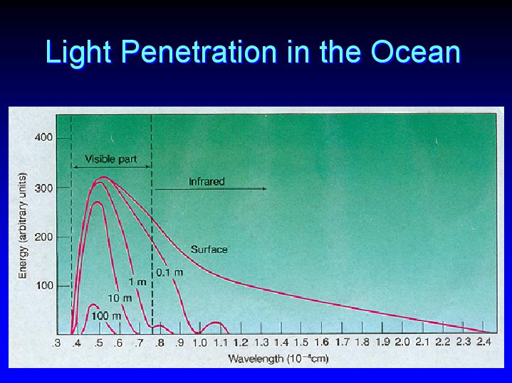 Ocean Light Penetration 86